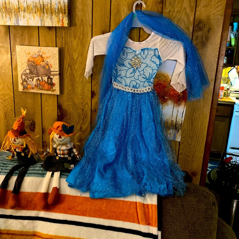 Frozen Elsa costume